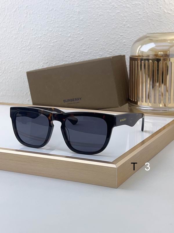 Burberry Sunglasses ID:20250529-85